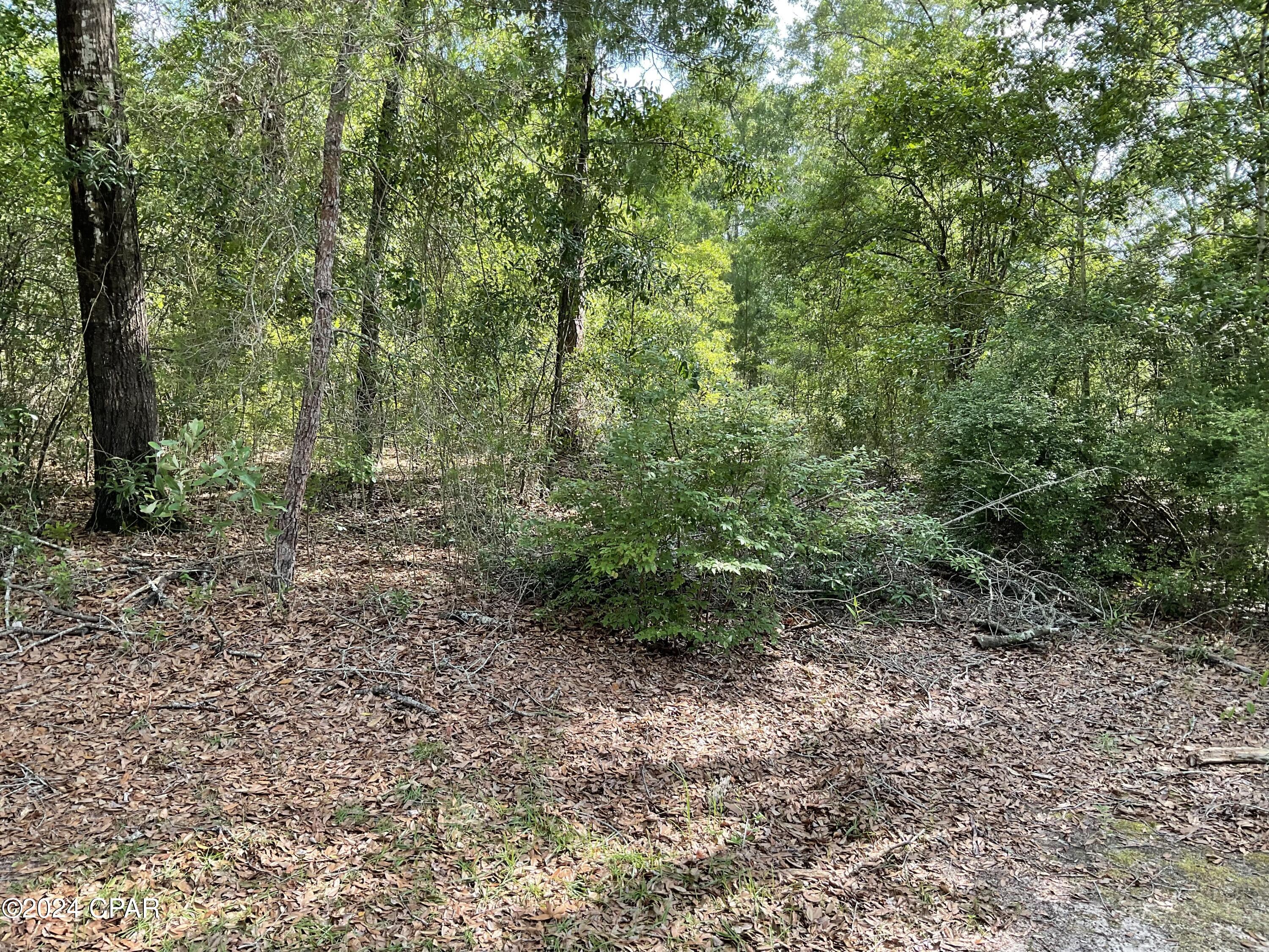 Leisure Lakes 1st Add - Land