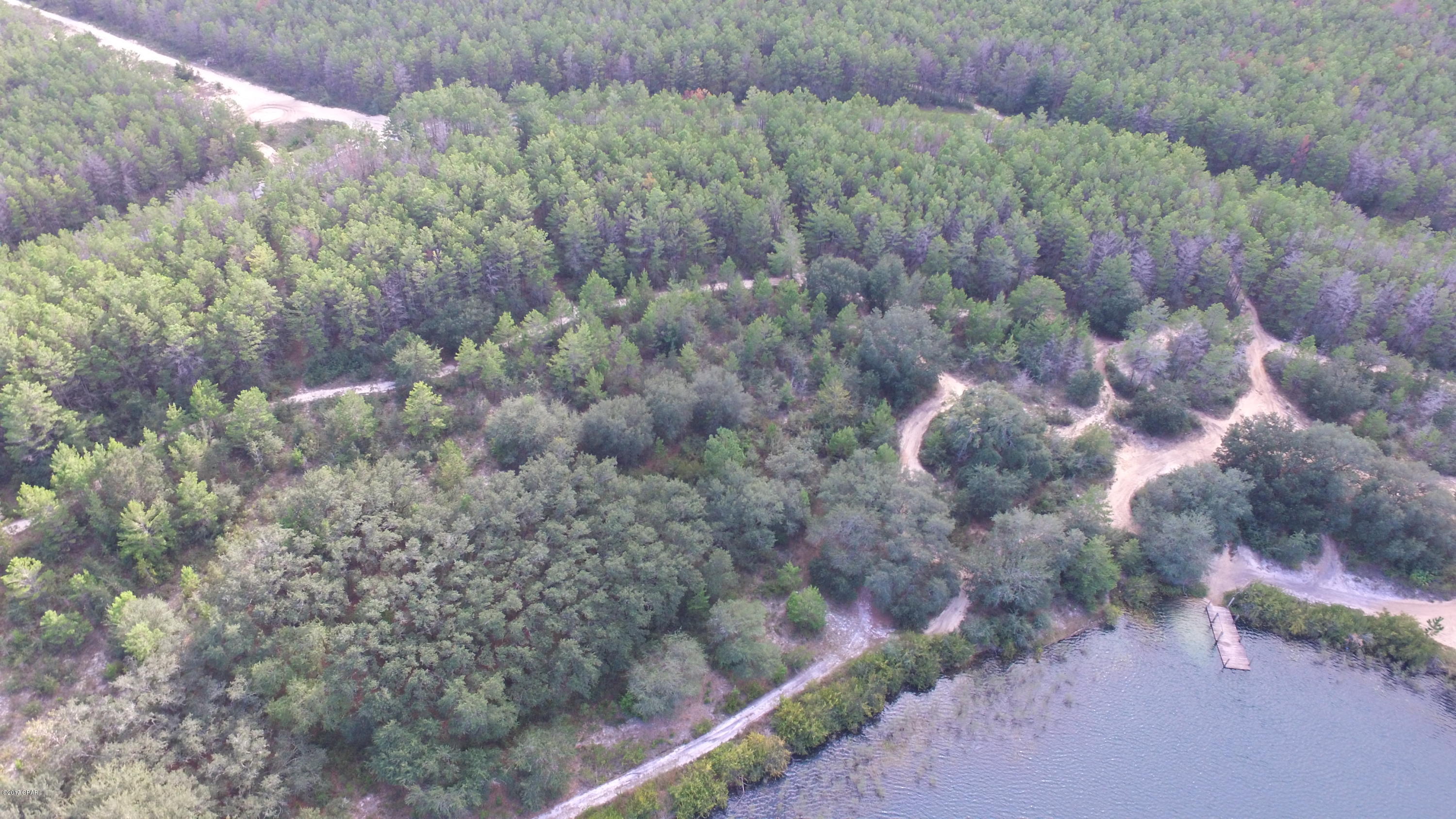Bream Pond - Land