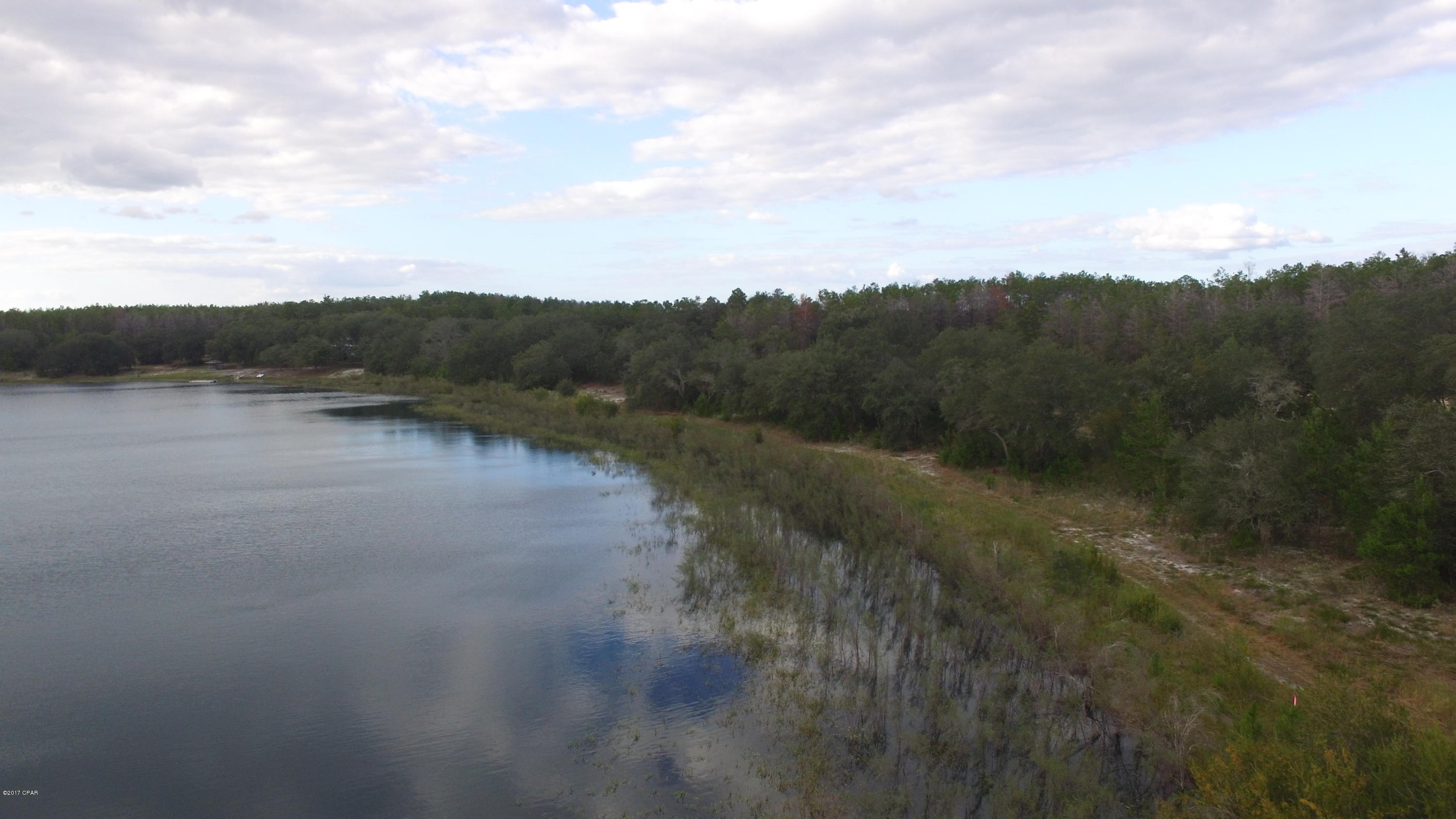 Bream Pond - Land