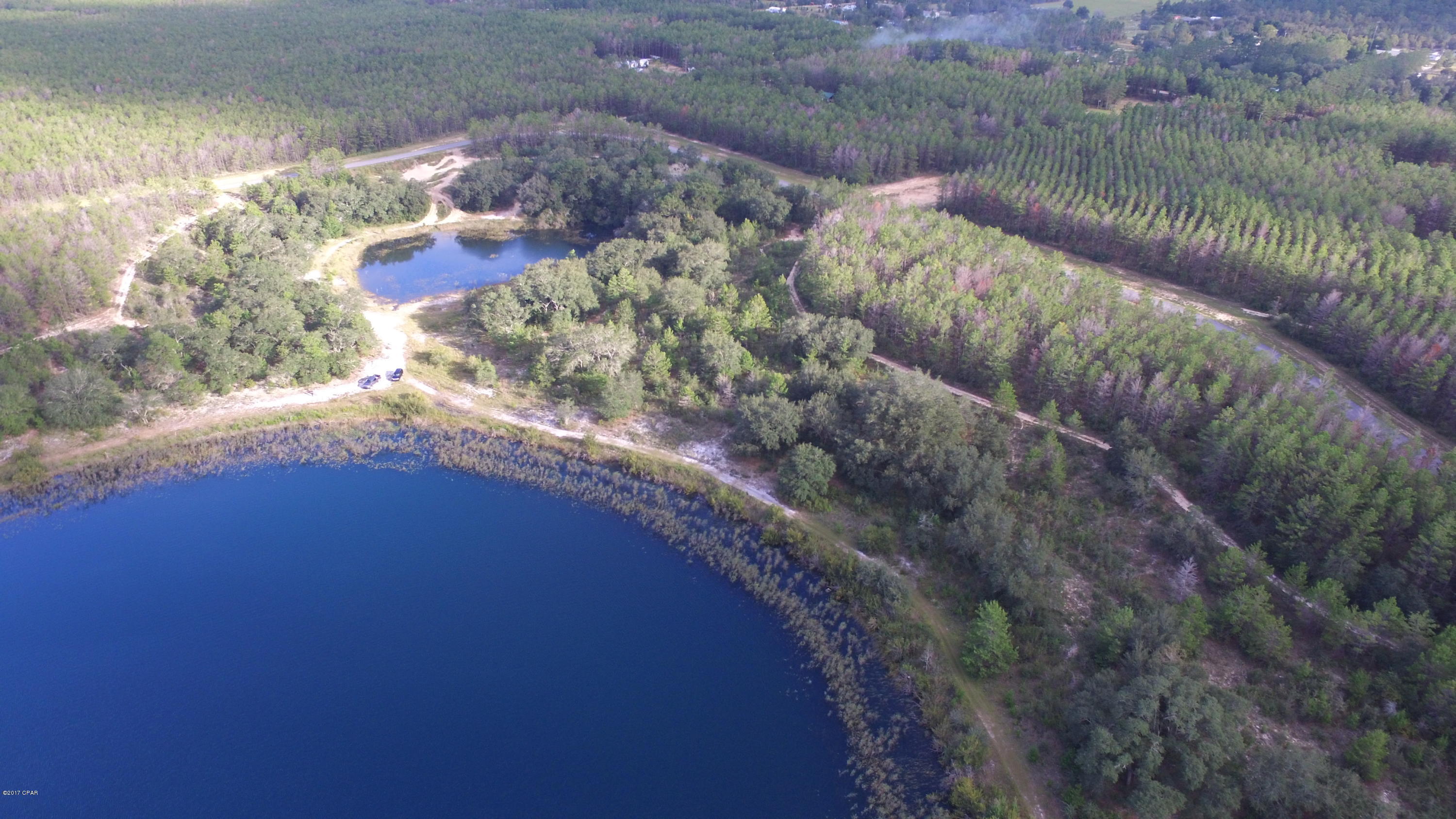 Bream Pond - Land