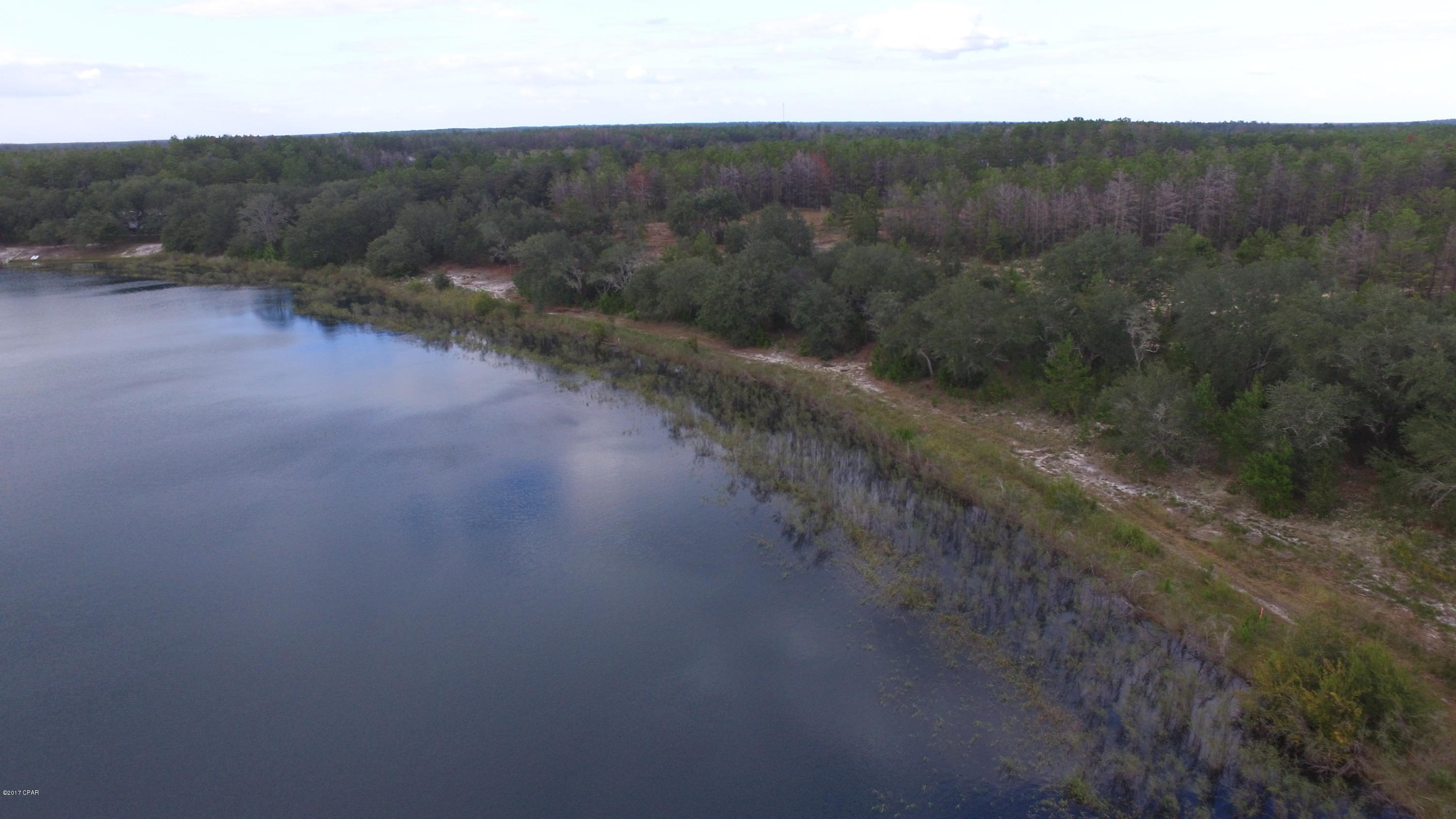 Bream Pond - Land