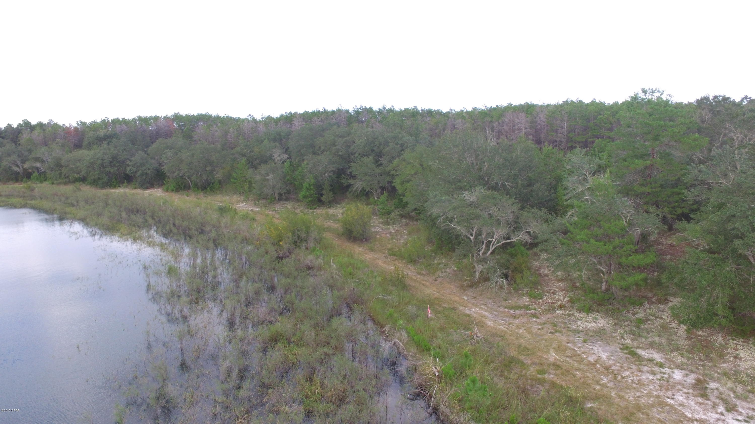 Bream Pond - Land