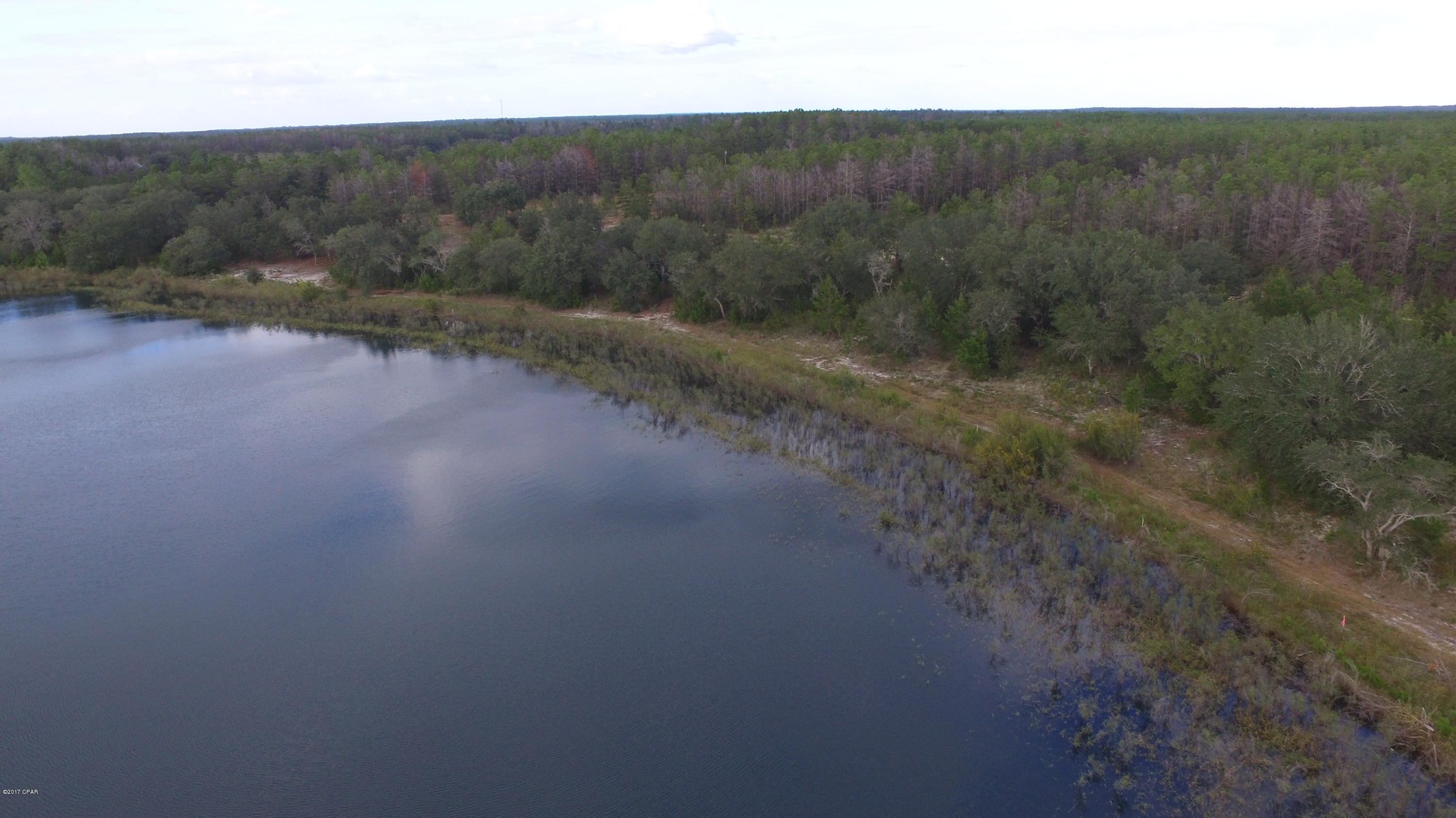 Bream Pond - Land