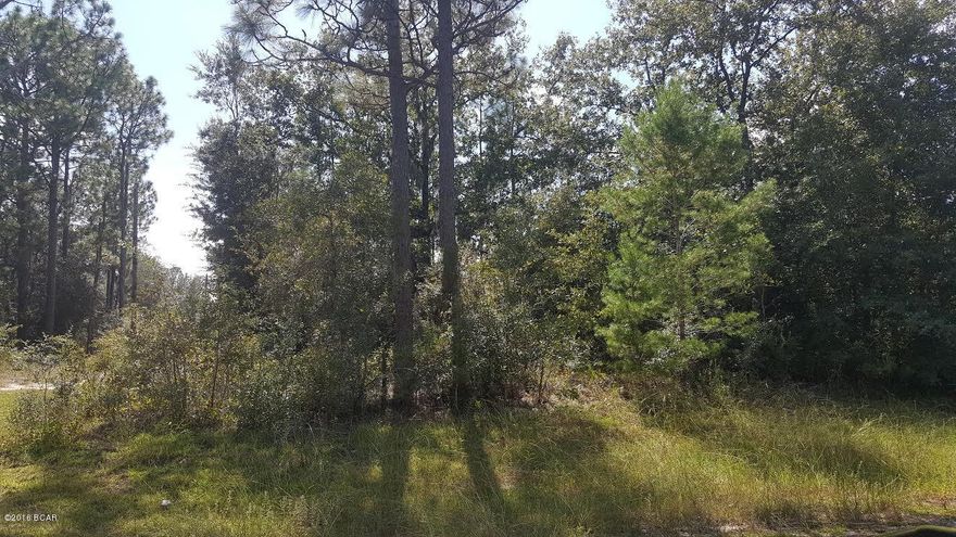 Nice corner building lot in Sunny Hills. Lot is mostly wooded. Close to main entrance road. Sunny Hills is a deed restricted subdivision for homes only, no mobile homes. Not far from Boat Lake which is open to the public for seasonal swimming, pavilion great for family get togethers and BBQ's. Several fishing spots in the area. Approx 35-40 miles from Panama City, Pier Park shopping and NW Florida Beaches International Airport.
