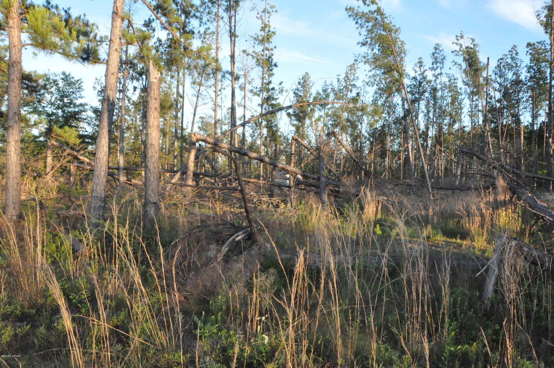 [No Recorded Subdiv] - Land