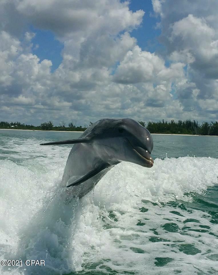 Portside Condo - Residential