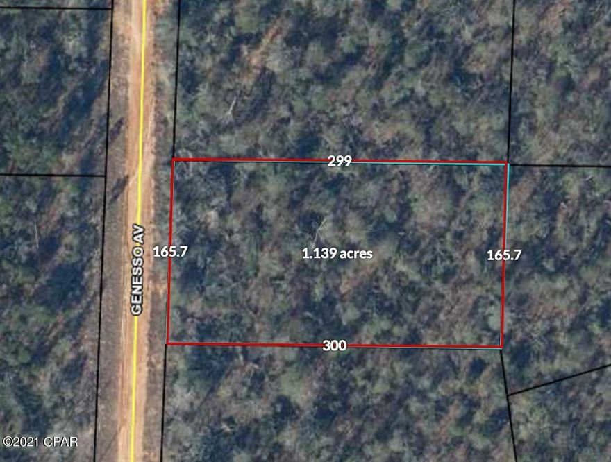 Really nice wooded lot in Compass Lake in the Hills.  Approx 1.13 acres appears high and dry.  Not far of Lakepoint Road and Hwy 231.  Volunteer HOA of 135.00 annual.  Fishing and swimming very close by. Easy access to Panama City Fl and Interstate 10.  Check it out today. Deed Restrictions.  Call the CLH Office for a copy.