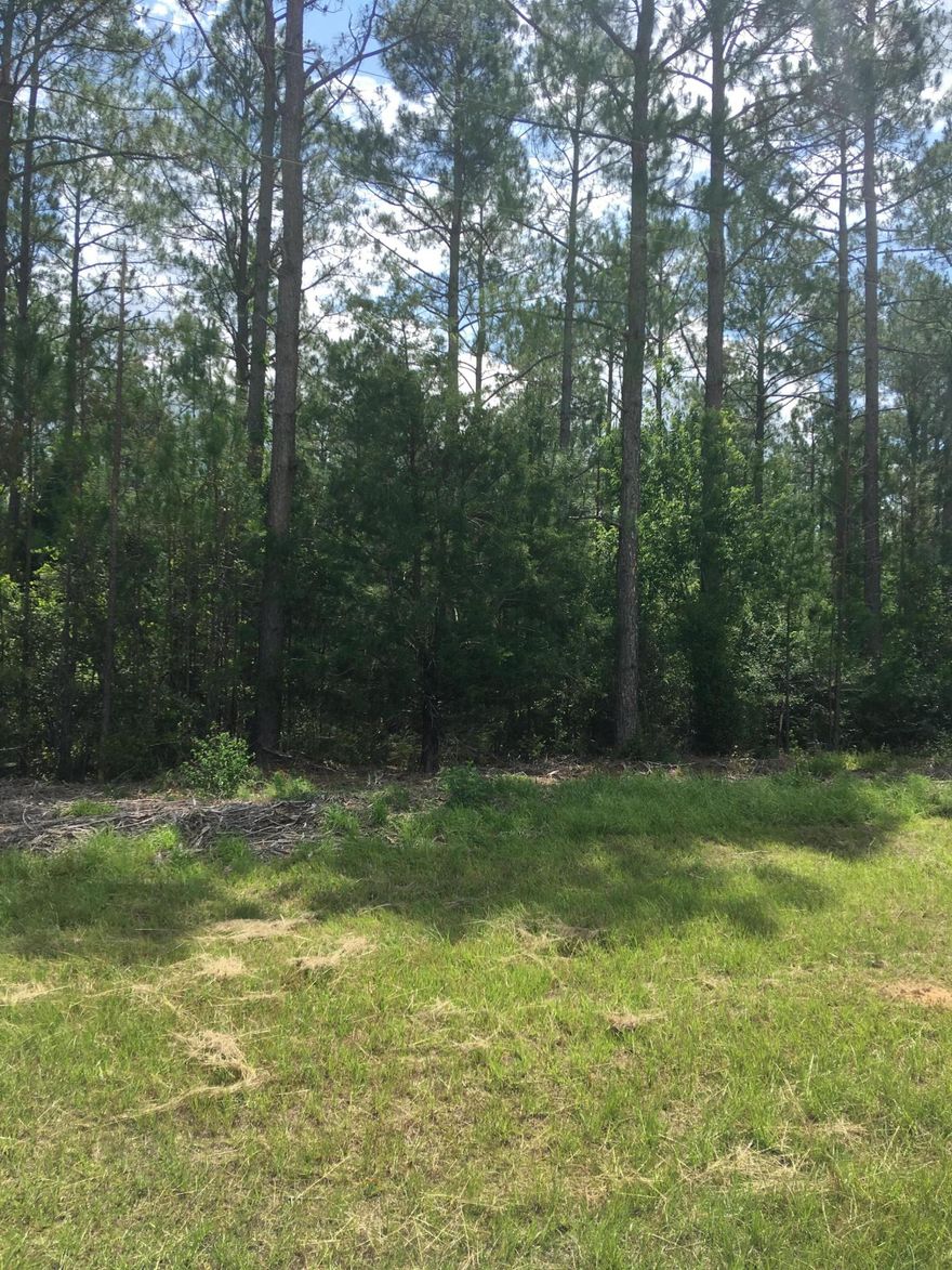 Excellent timber tract with pole quality.  Under CRP contract that ends in October 2020 at 1800 per year.  A dough well is on property with some settling.  A home exists on the property with limited value with well and septic.  May include some easement documentation.