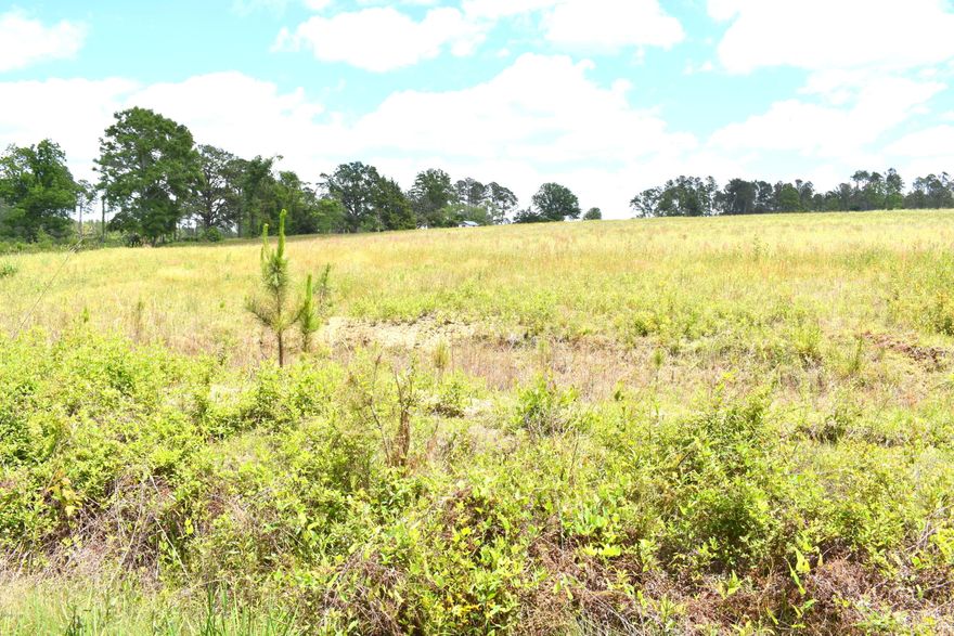 **Owner Financing Available** Cleared and ready for your new home this 5+/- acre parcel offers more than 290 feet of paved road frontage and is conveniently located between Chipley and Vernon. Additional adjoining acreage available.
