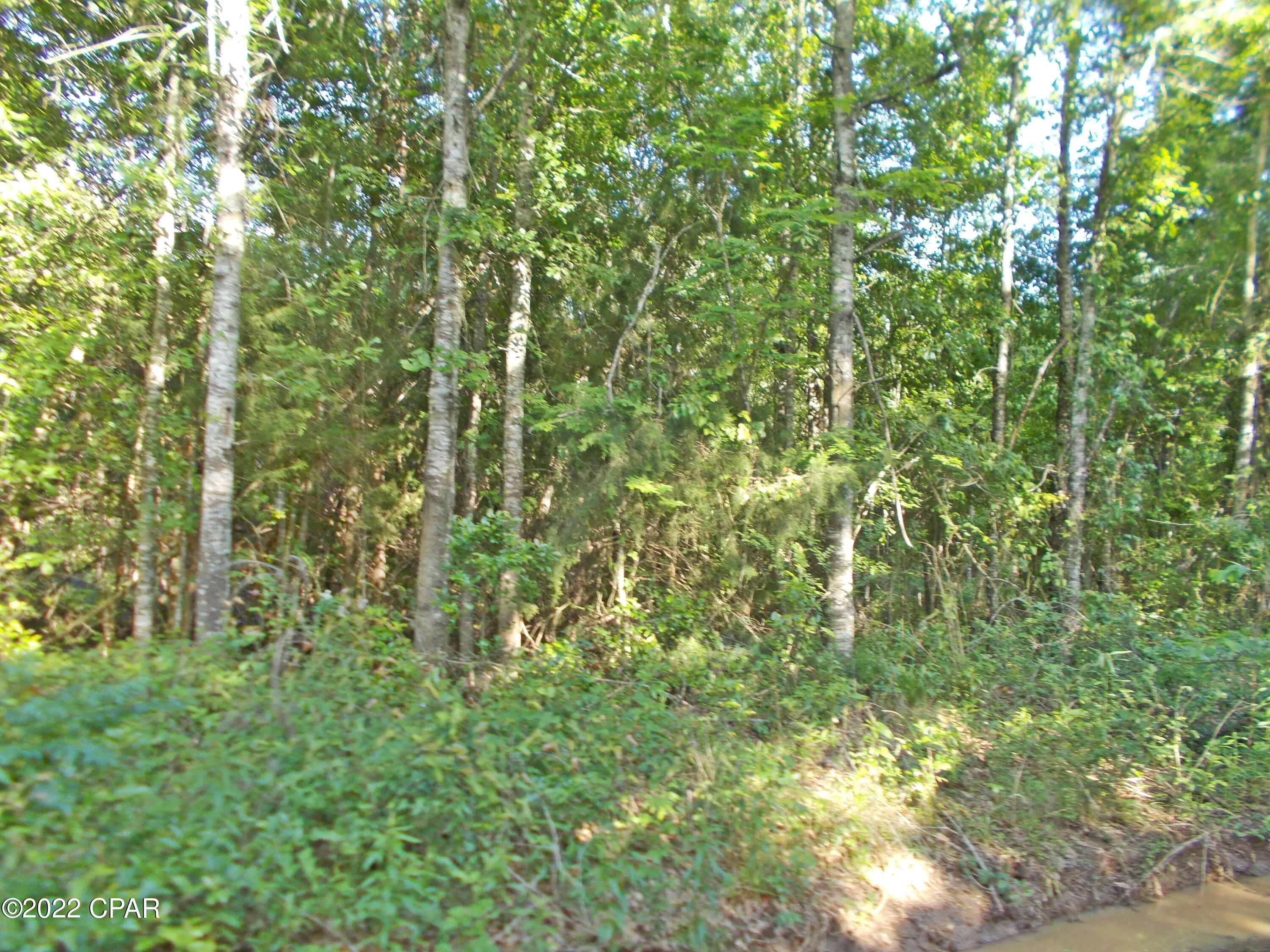 No Named Subdivision - Land