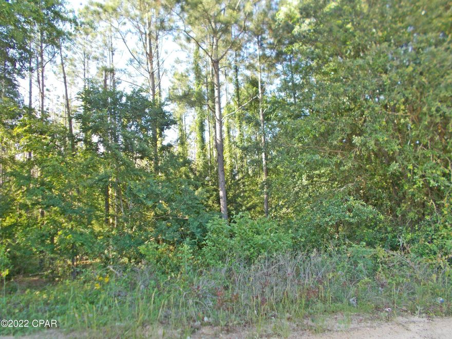 Very nice, wooded parcel there seems to be about 7 ac  in tall planted pines. This would be a great mini farm or homesite with lots of privacy. Drive by it today. No restrictions