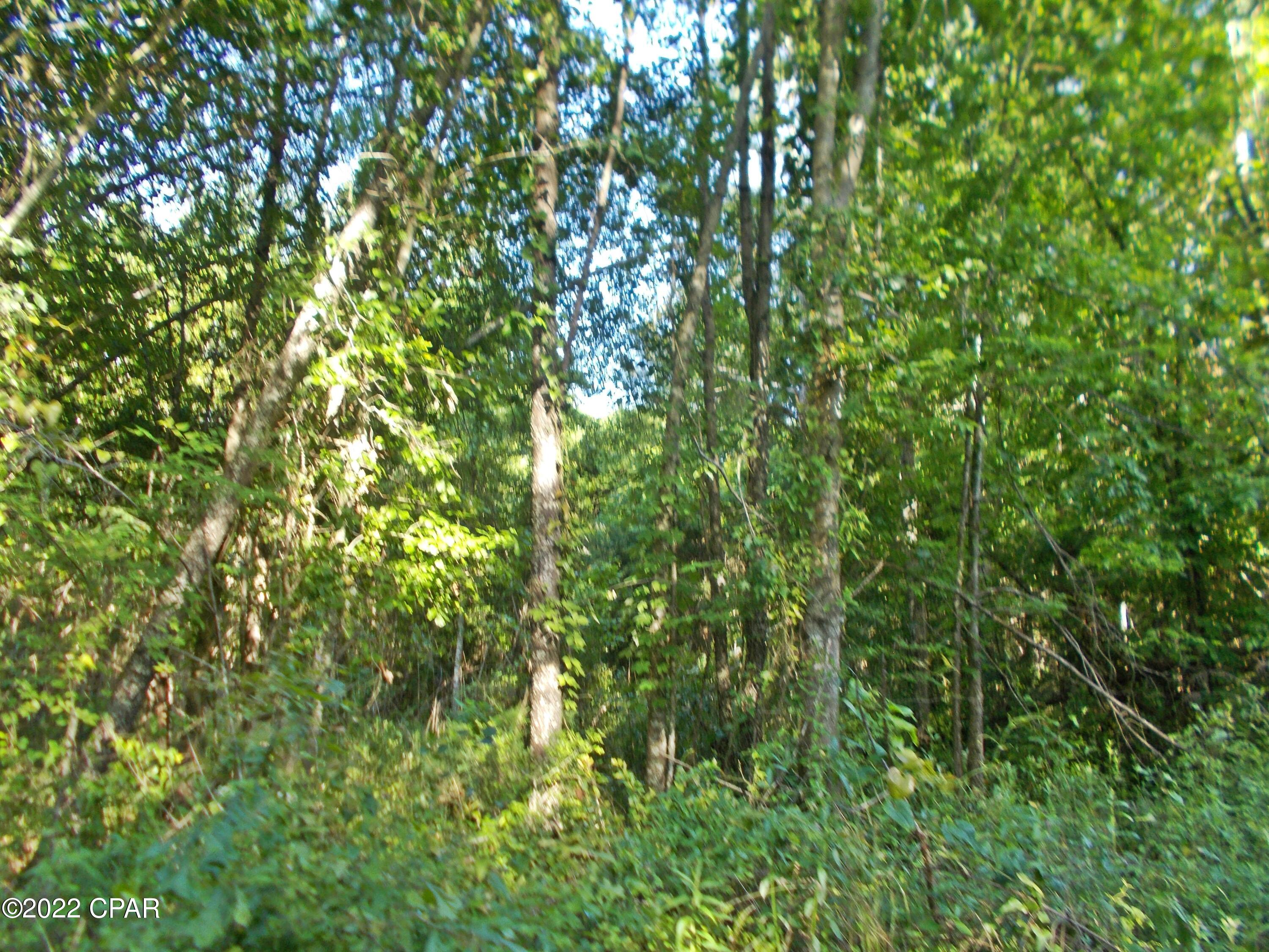 No Named Subdivision - Land