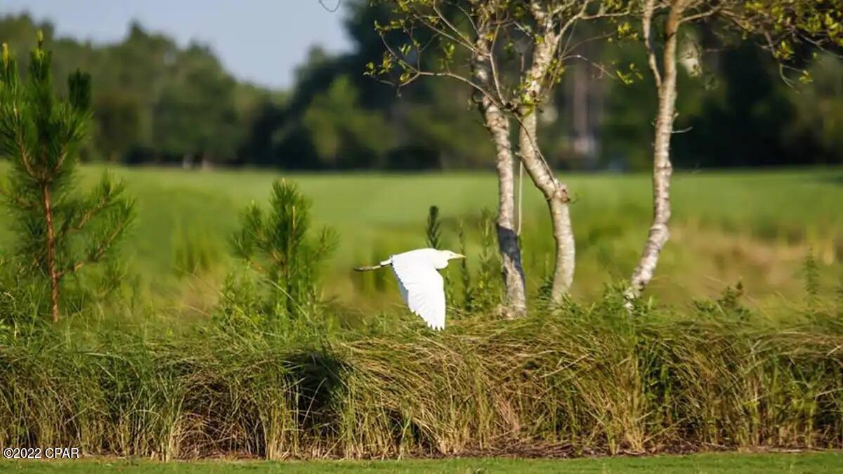 The Village Of South Walton - Residential
