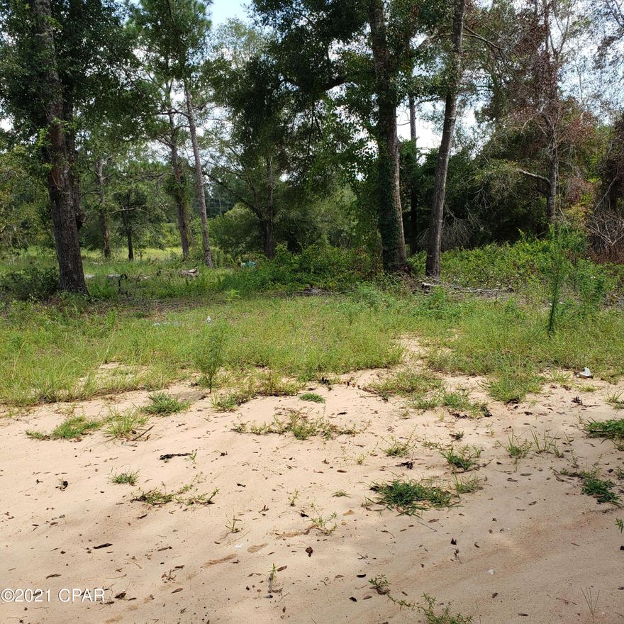 3 acres vacant land. House has burned down. Land has been used as a dump site. Lots and lots of garbage. Being sold as is where is. Cash only. Must have proof of funds.