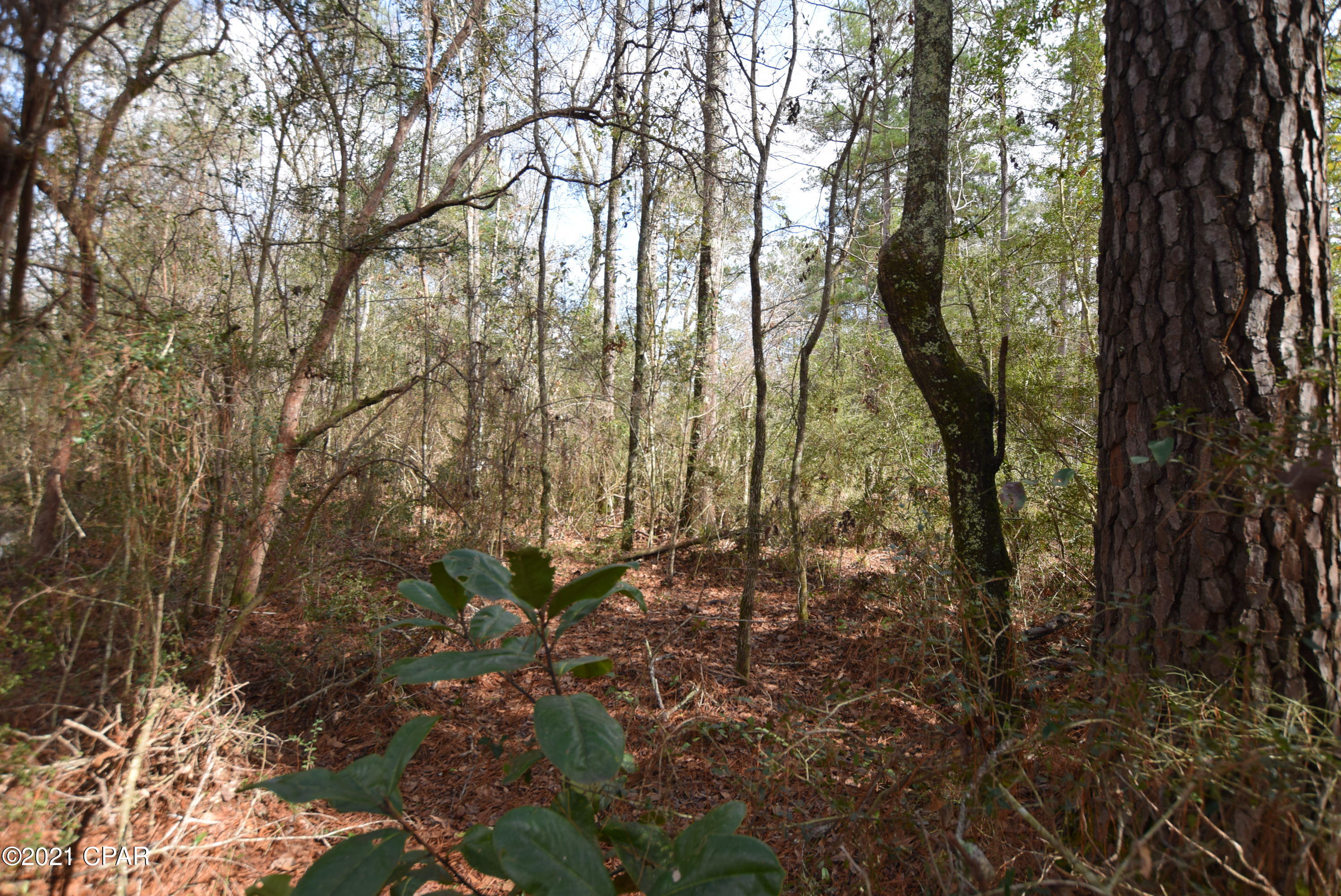 No Named Subdivision - Land