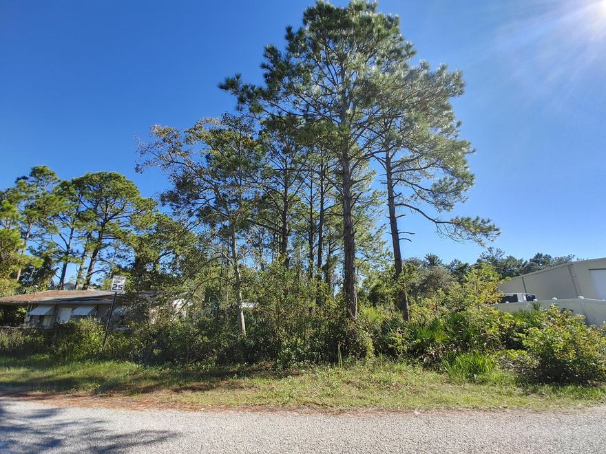 Calling all builders!! Vacant lot just a short drive to 30A. Quiet established neighborhood. Near shops, eateries and grocery stores. Take advantage of this low price for a nice sized building lot.
