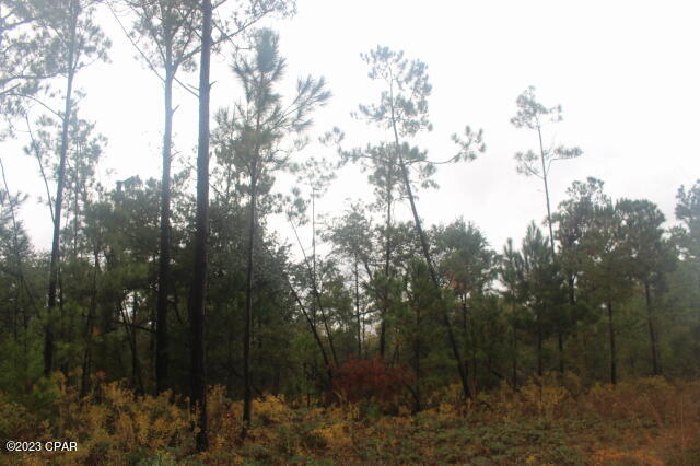 Compass Lake Hills Unit 3 - Land