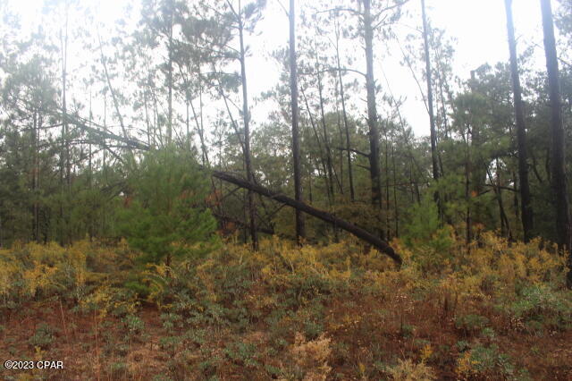 Compass Lake Hills Unit 3 - Land