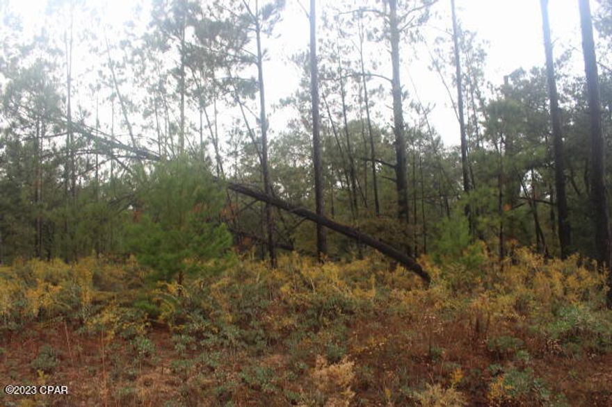 1 Acre MOL. Wooded Residential building lot.
Deed restricted to single family homes.  No mobile homes or RV living allowed.  Join the volunteer membership property home owners association that will entitle you to the amenities offered for $135. Annually.  This lot is wooded with both pine & oak trees.  Appears to be level and is located in Flood zone x.  Electric power lines run across the front for easy tap in.