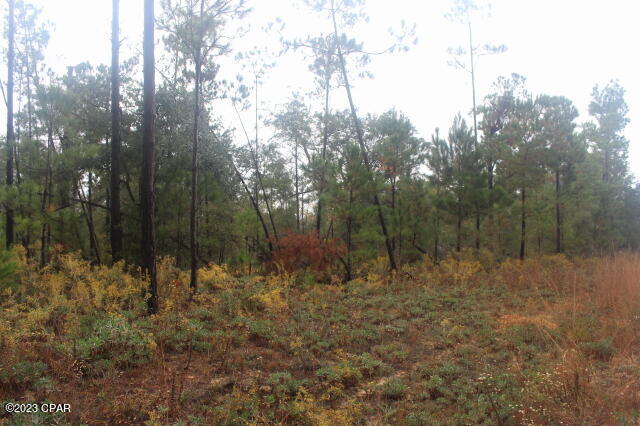 Compass Lake Hills Unit 3 - Land