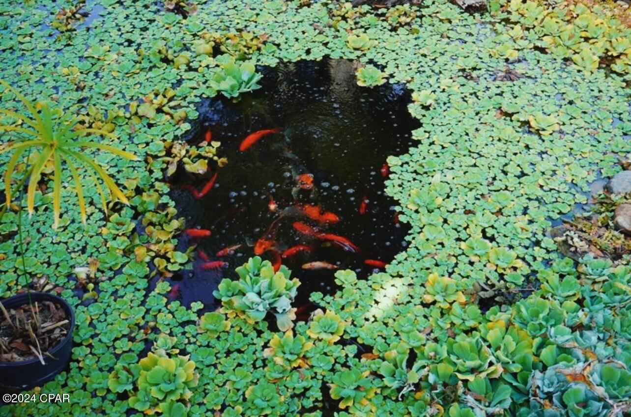 Compass Lake - Residential