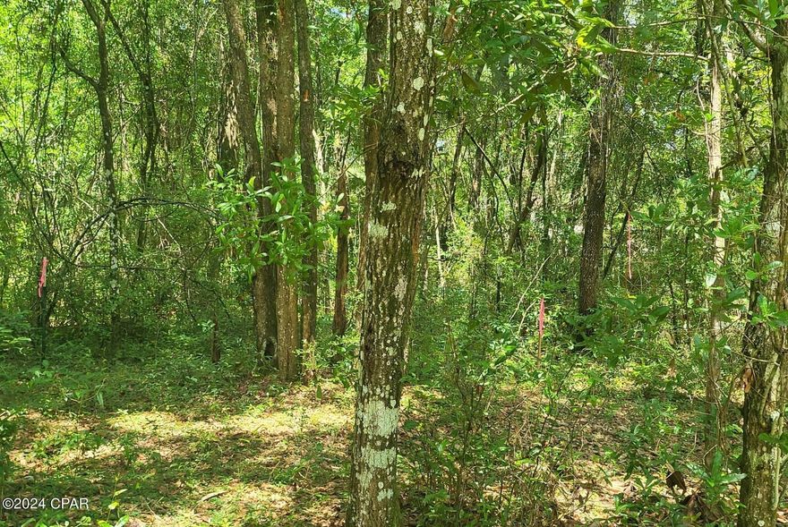 Large vacant land parcel in the heart of Crawfordville. Almost two acres with beautiful mature trees and a cleared area. This property is close to everything in Crawfordville including Walmart and restaurants. This property is currently zoned residential but is surrounded by commercial property. Seller is unsure what it would take to have the property rezoned to commercial property.