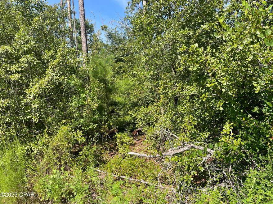 Nice corner lot!  Great spot to put a home and has close proximity to a major highway.  Just 20 minutes to a new Publix and 30 minutes to Panama City, this is a great buy!