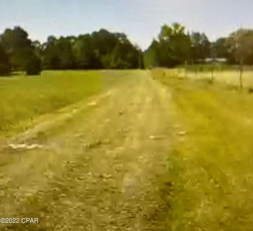 HERE YOU GO! Perfect opportunity for someone wanting 10 acres in a peaceful, quiet location!  Located about 35 minutes outside of the beach, perfect location for your future primary residence or a great place for that future weekend getaway!  Just a beautiful parcel, lots of timber, and truly a piece of heaven!