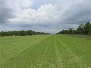 Crystal Village Air Park - Land