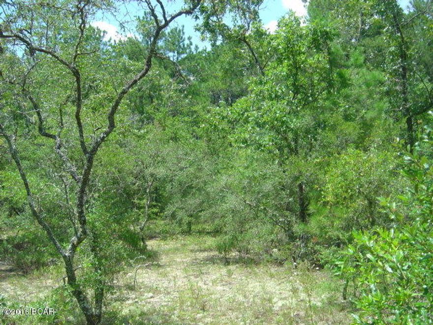 Compass Lake in the Hills lot with all the amenities of CLH (Lake, tennis cts, swimming pool and beach area.  Cabins as rental for guests.  Nice restaurant for your enjoyment.