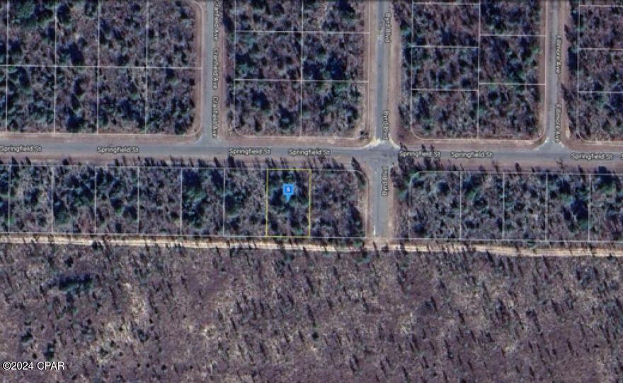 Living in Sunny Hills isn't just about the compelling landscapes; it's about becoming a part of a close-knitted community that's equipped with power facilities on the street. The subdivision strictly accommodates homes only, ensuring an unequivocal quality of lifestyle with no interference from mobile homes. Yet, the freedom to build your dream home comes with no time bounds, making it an appealing aspect of this property.
