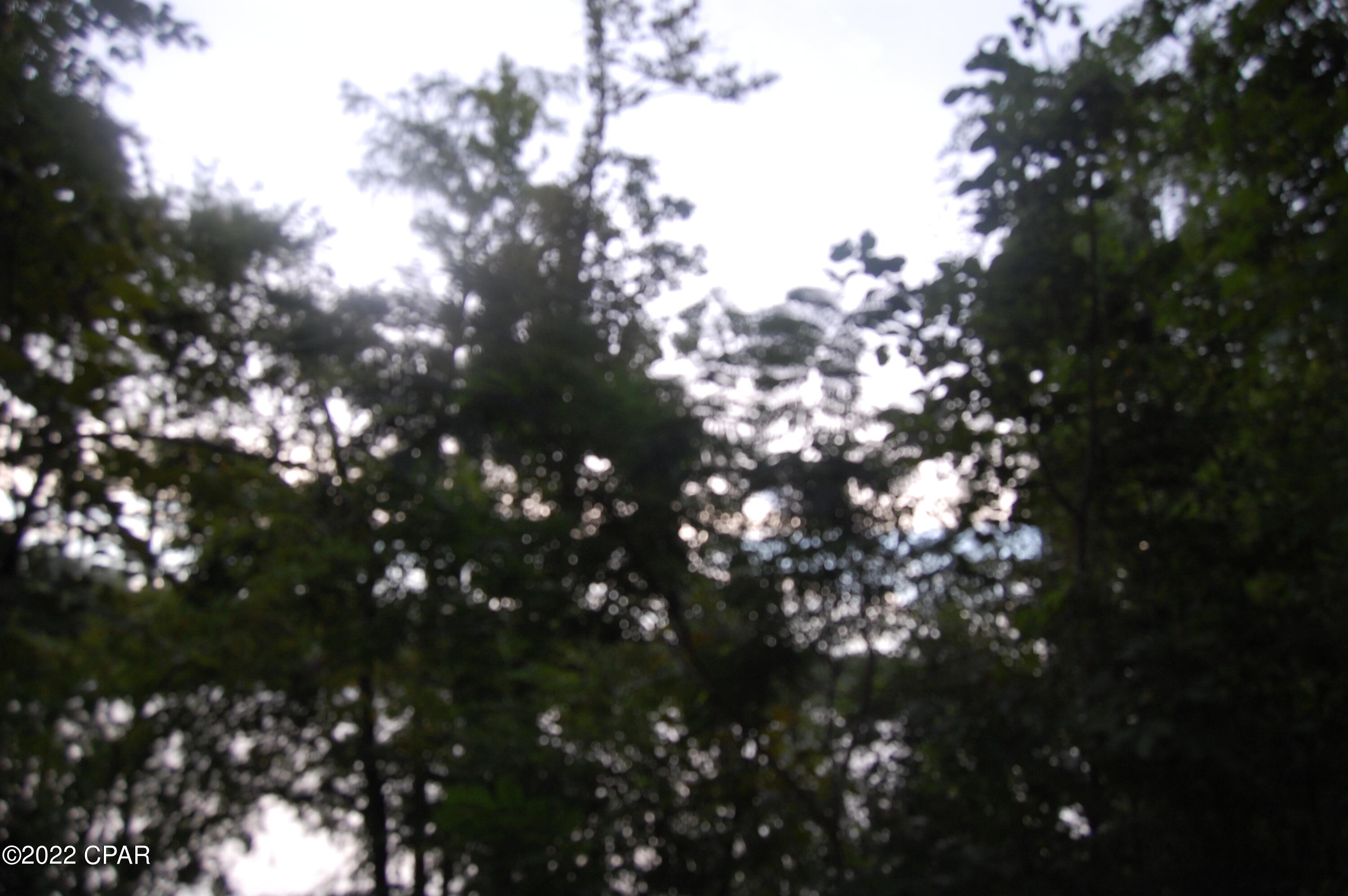 Ocheesee Estates - Residential