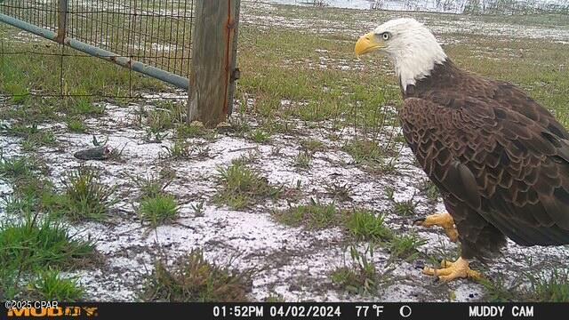 Long Lake Ridge - Residential