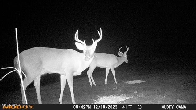 Long Lake Ridge - Residential