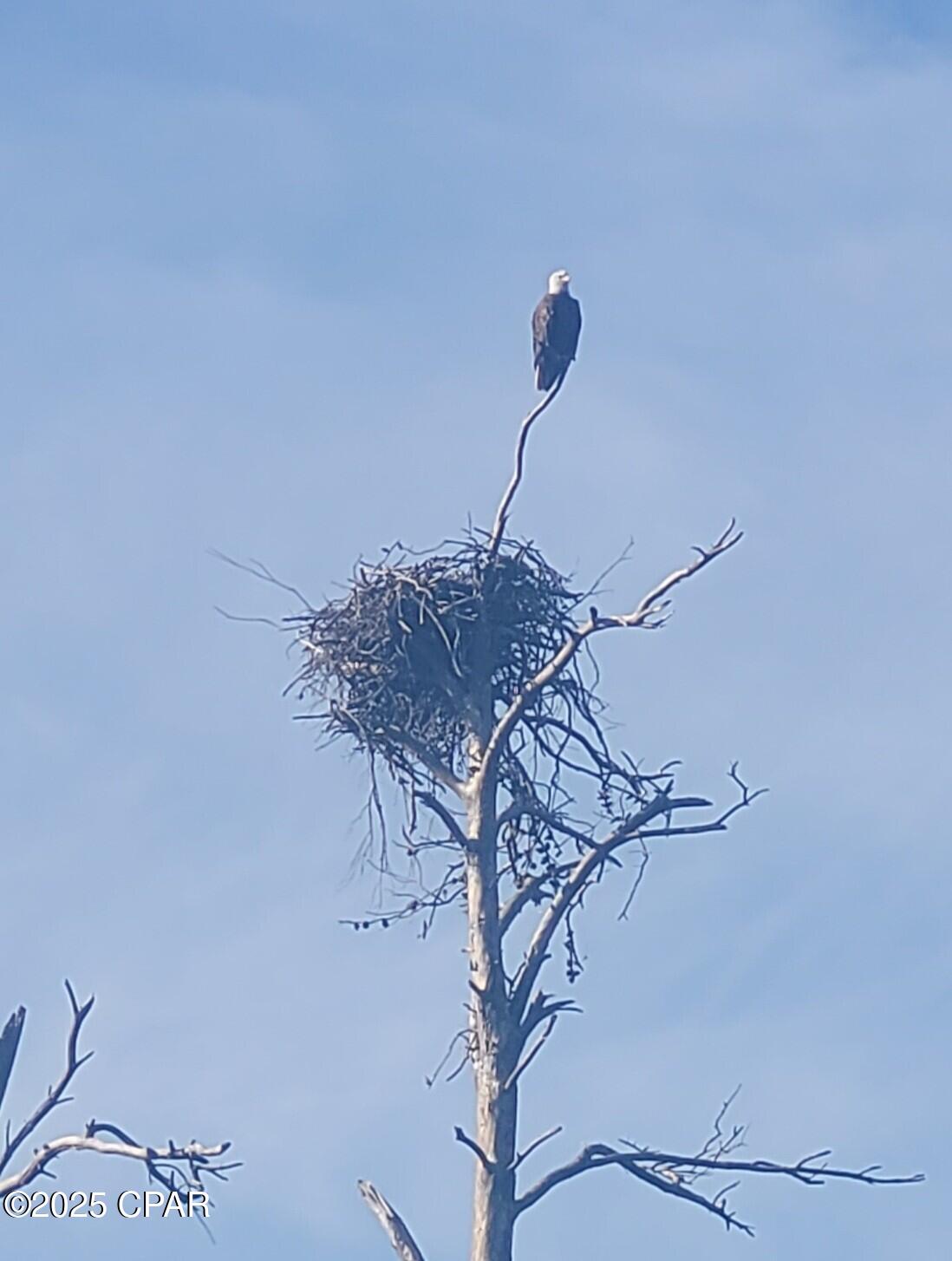 Long Lake Ridge - Residential