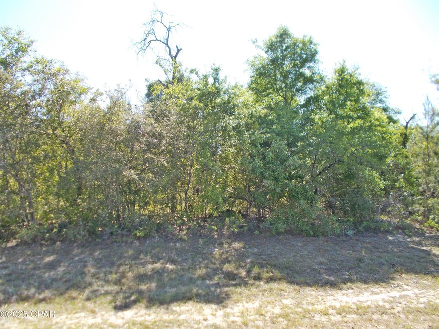 Nice sparsely wooded lot in Sunny Hills, Power around 300 ft away, build your dream home in this beautiful growing subdivision. Just a short drive to Panama City Beaches and the international airport. There are lakes and a golf course in this subdivision. The seller has 8 lots in this subdivision for sale if you are looking for a package