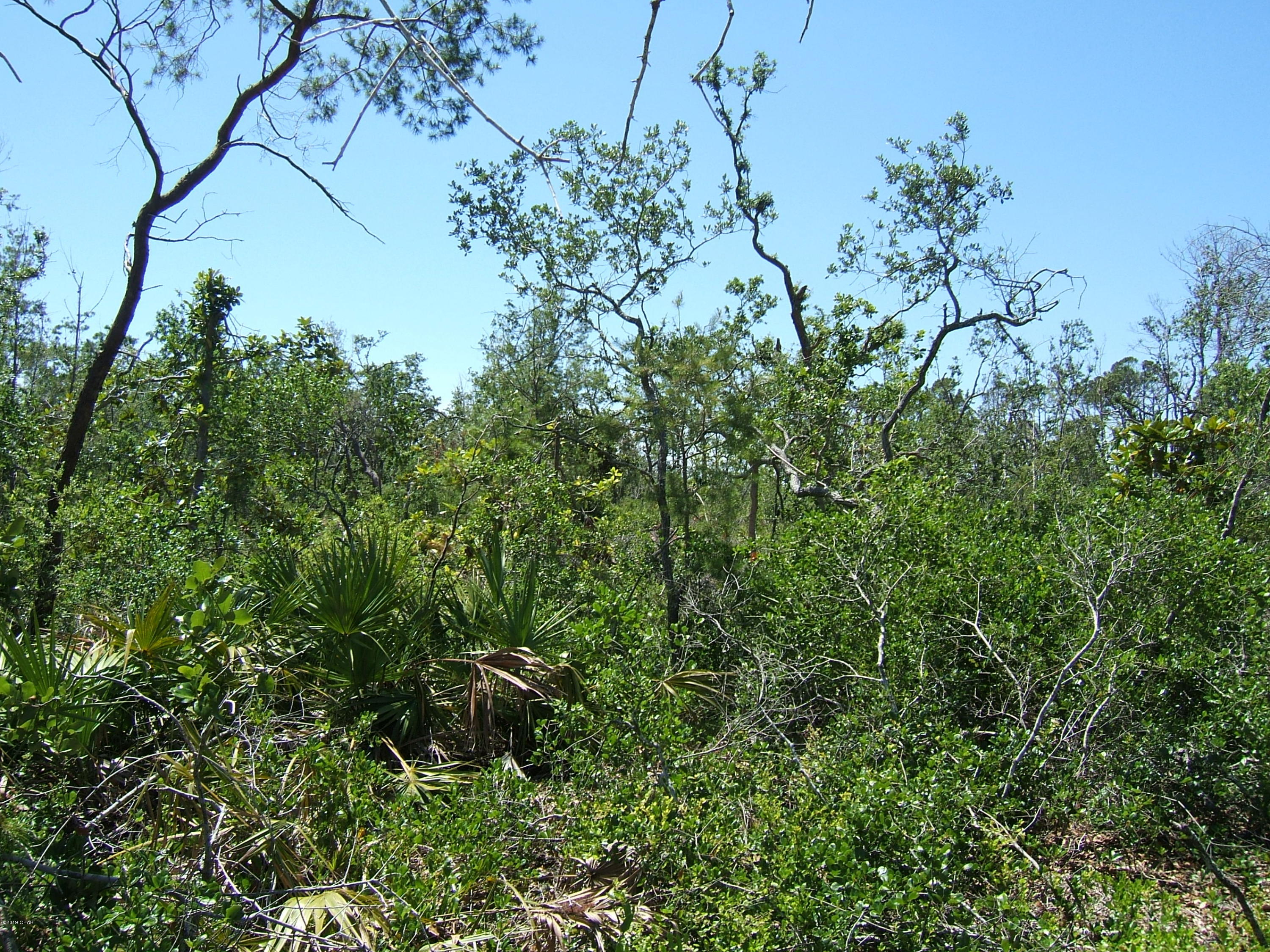 Sanctuary Beach - Land