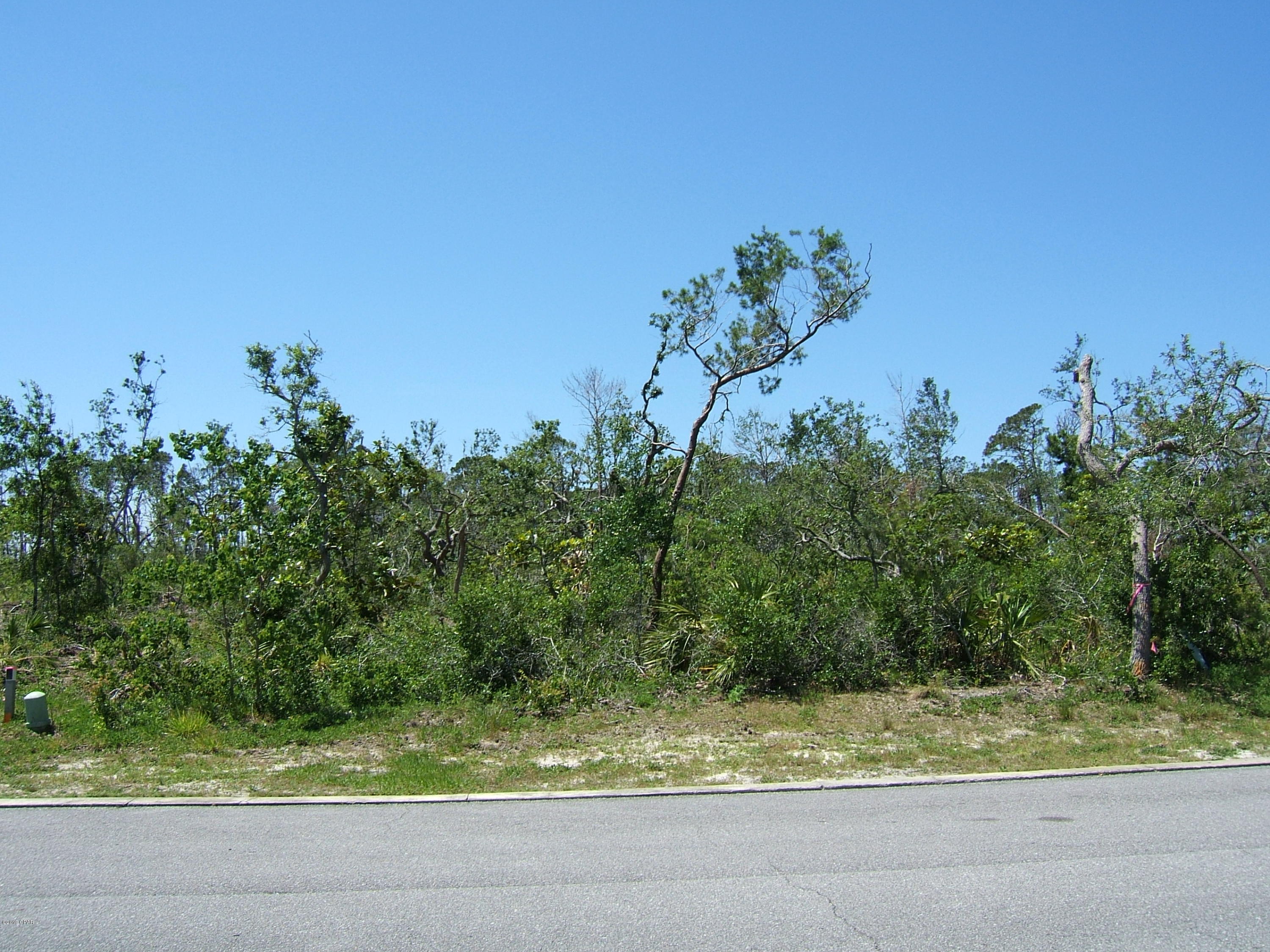 Sanctuary Beach - Land