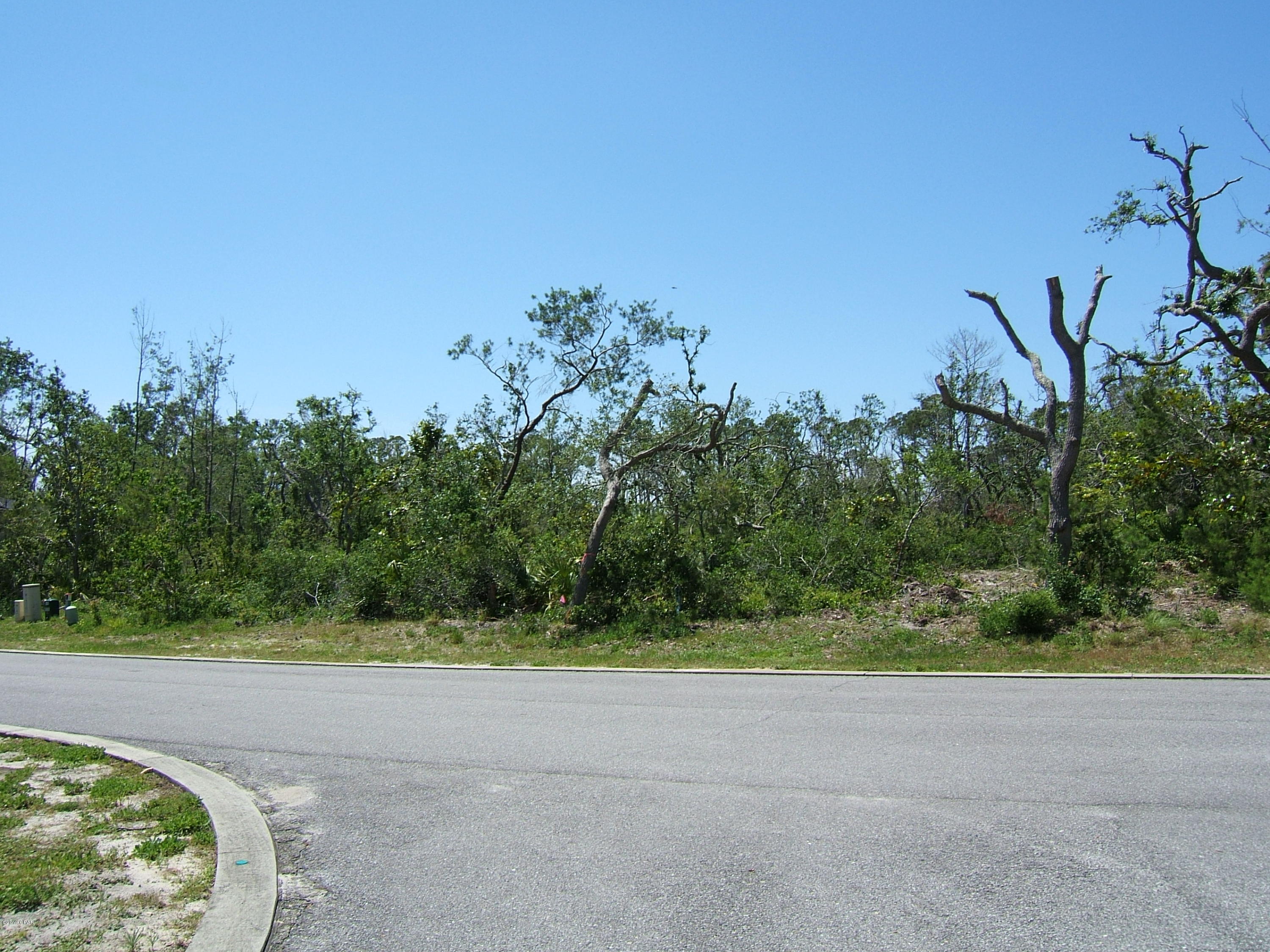 Sanctuary Beach - Land