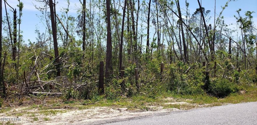 This 36 acre parcel is located in a great area right across the street from H. G. Harder's Recreation complex. At the time that the current owner bought this property, he was told that approximately 19.6 acres can be developed and 17.0 acres are conservative easement or wetlands. It appears that now the wetlands has been extended. There is more likely 10 - 12 acres for developement. The EPA changes the Wetlands maps so this would need to be vertified. This property has approximately 1,600 feet of frontage on John Pitts Road and 1,600  feet of frontage on Brandon Road. This property is zoned R-2. Public water is available.