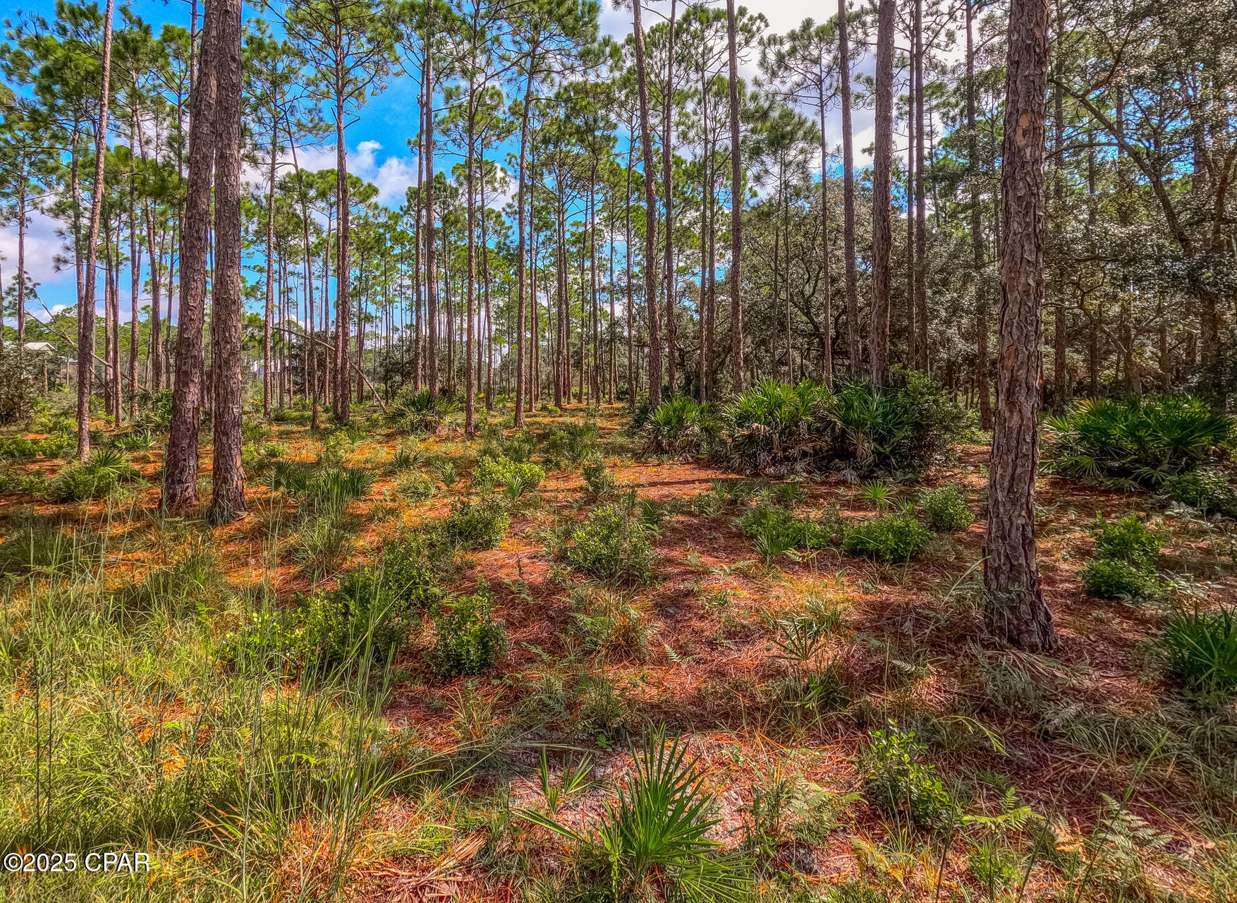 Rivercamps On Crooked Creek - Land