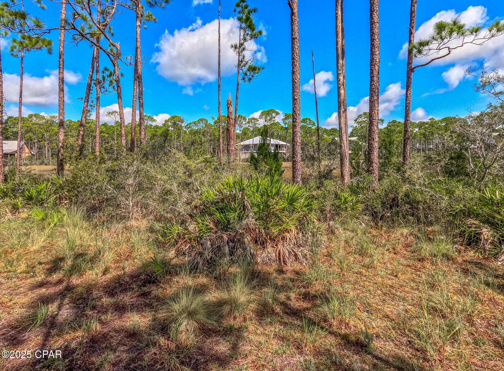 Rivercamps On Crooked Creek - Land