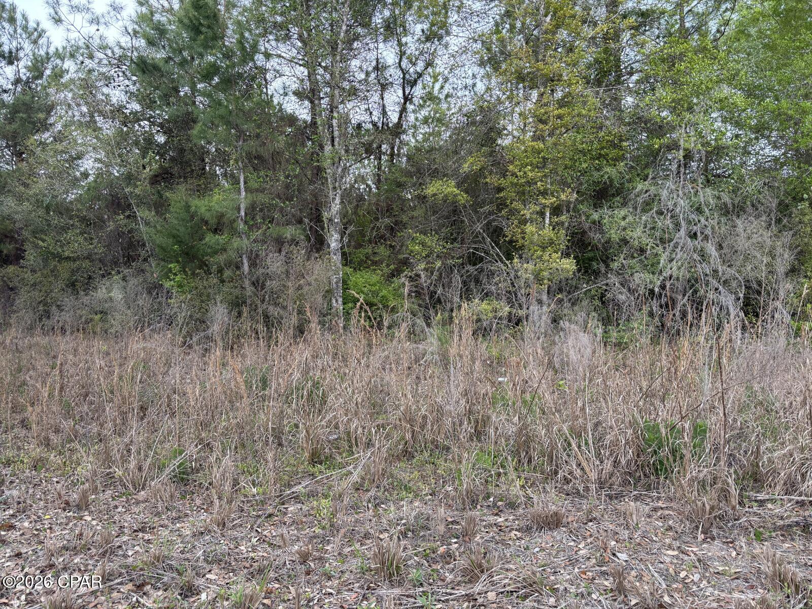 [No Recorded Subdiv] - Land