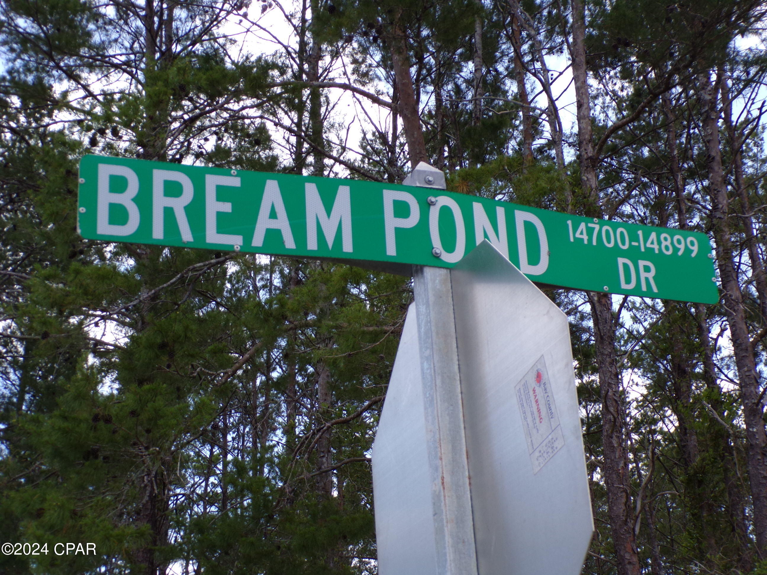 Bream Pond - Land