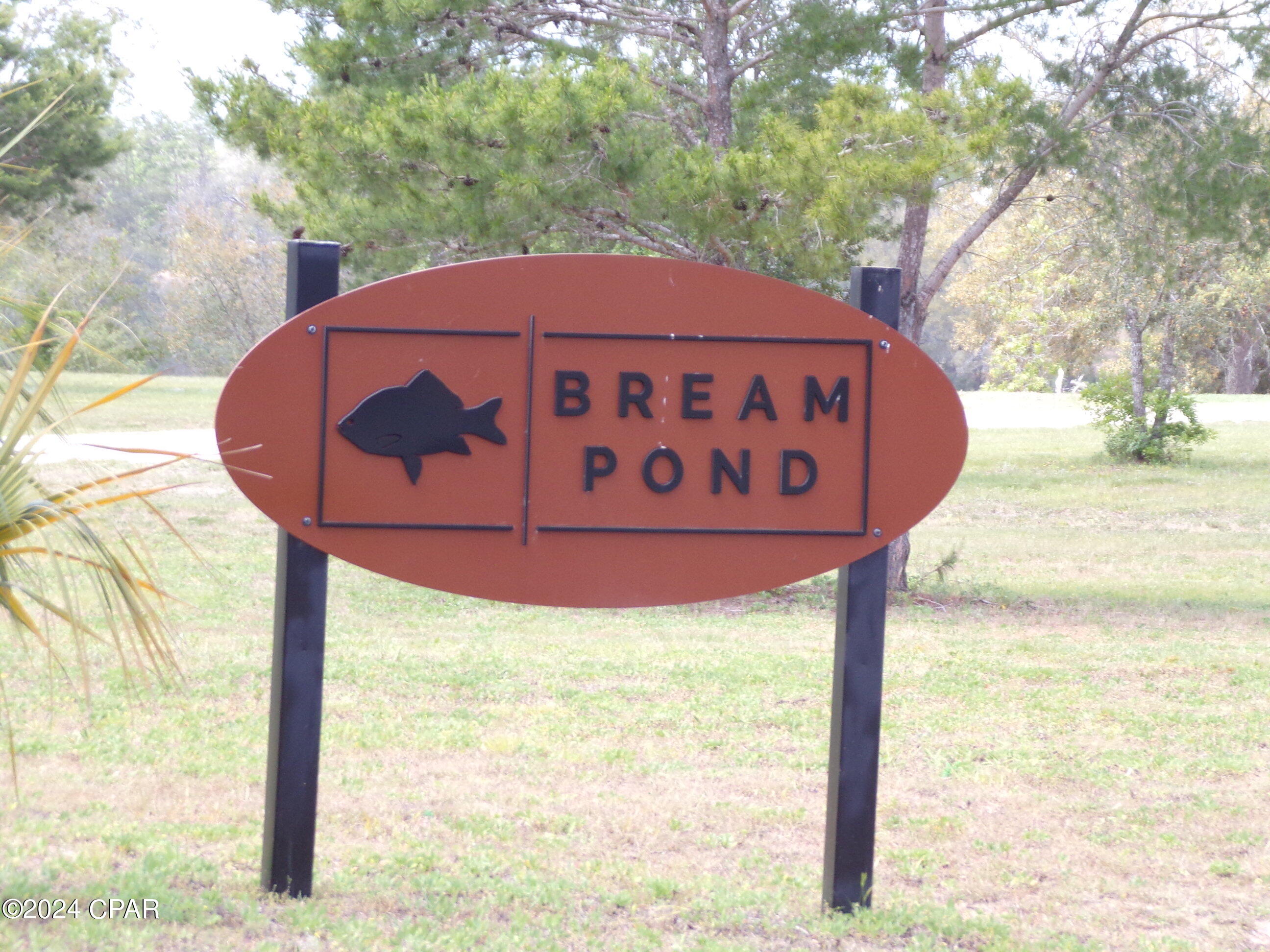 Bream Pond - Land