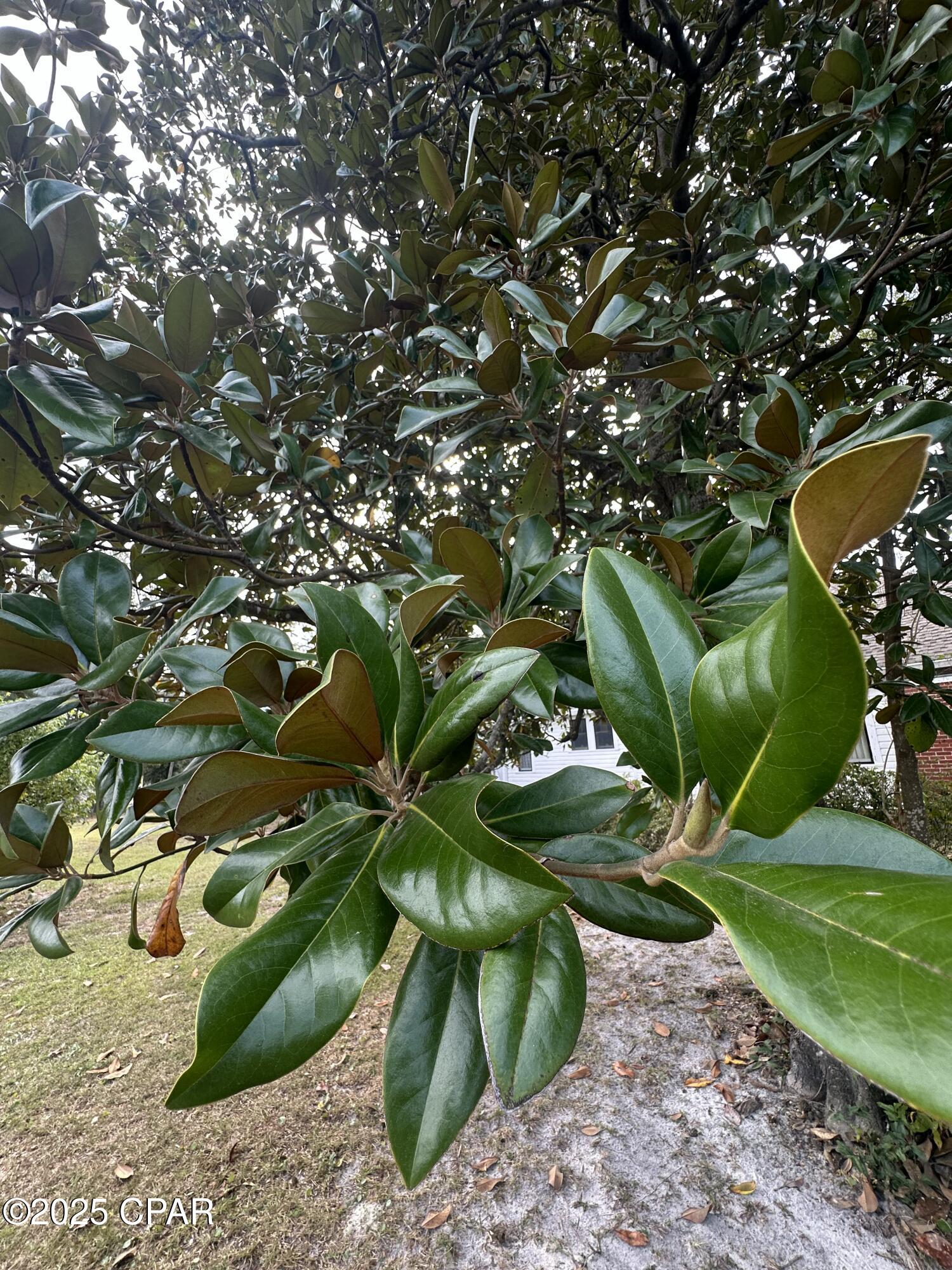 Sudduths 1st Add - Land