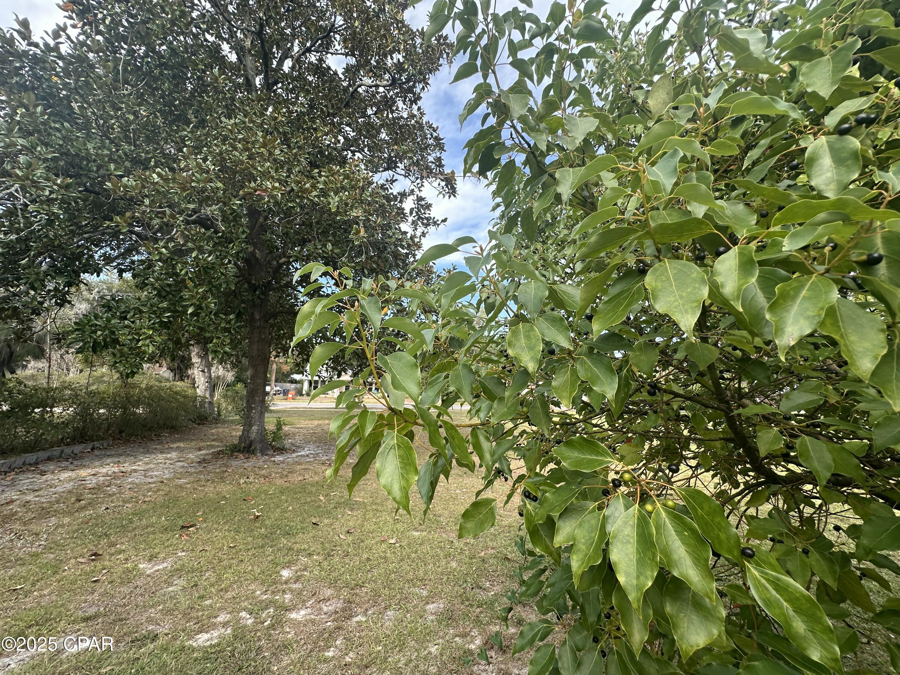 Sudduths 1st Add - Land