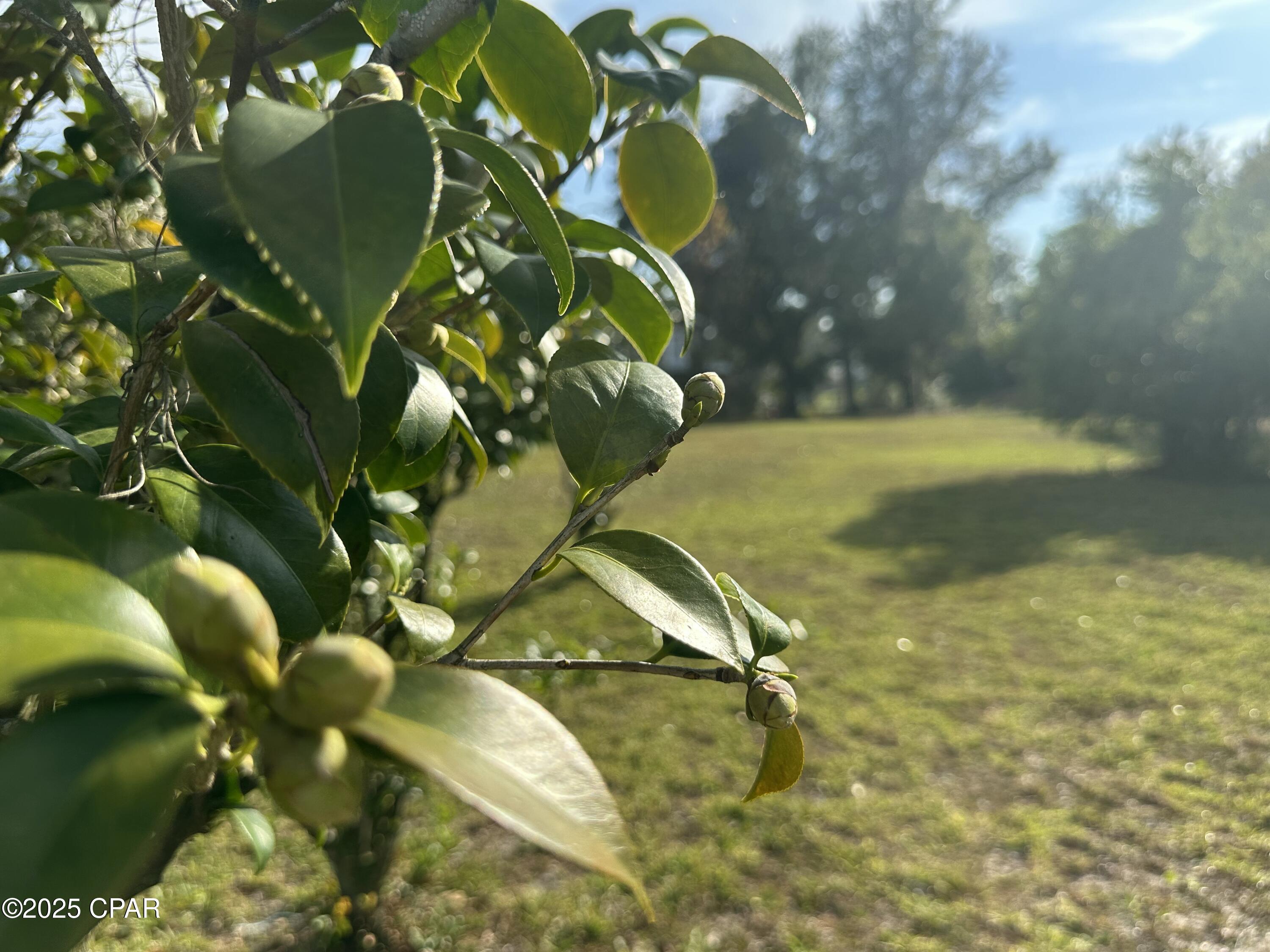 Sudduths 1st Add - Land