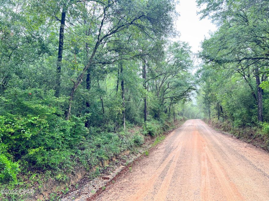 Have you been looking for the perfect homesite? This primarily wooded 18.46+/- acre parcel is ready for your dream home, hunting retreat or weekend getaway! This rare find offers endless possibilities and is conveniently located close to Hwy 79 and Interstate 10.