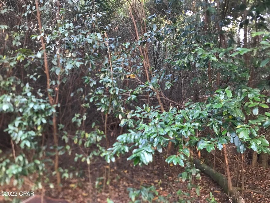 Wooded lot in the Compass Lake in the Hills subdivision.  There is a non-mandatory HOA fee that, if you decide to pay it, will allow you to enjoy all the amenities of the lake, lodge, swimming pool, tennis courts, & horse riding areas.  You will also be able to use McCormick Lake for swimming, fishing, & canoeing.